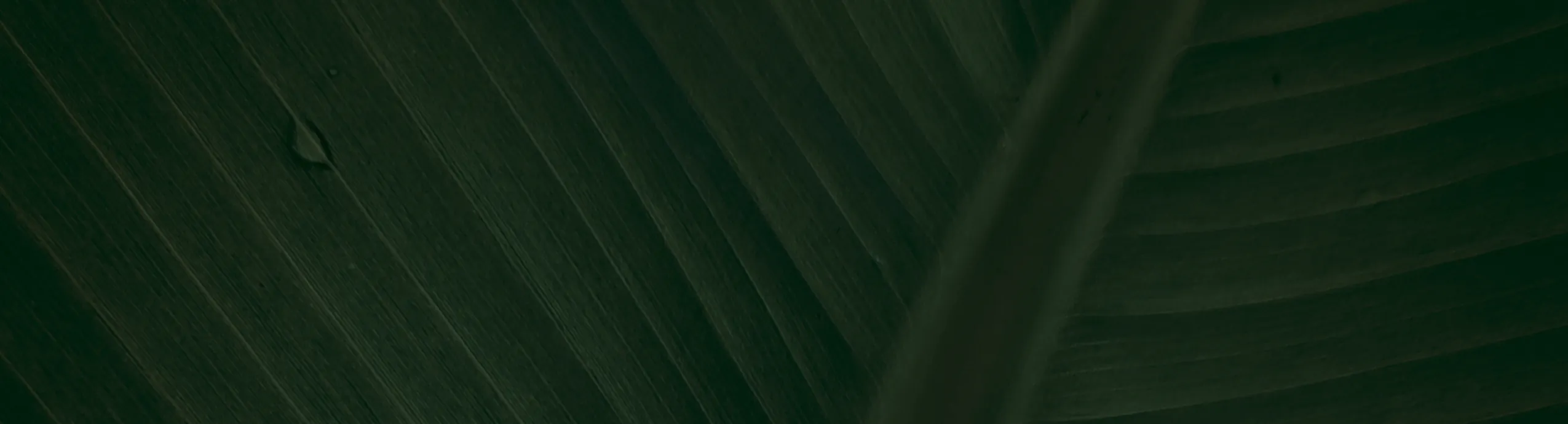 MASKING ABRO 3/4" 18mmx40 AZ (30087)