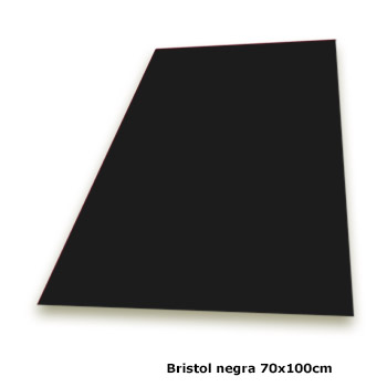 BRISTOL NEGRA 70X100