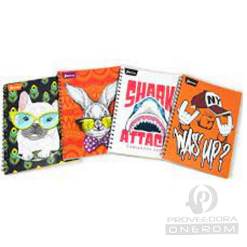 CUADERNO ANDALUZ UNIVERSITARIO 100 H LINEAS 6540