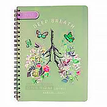 CUADERNO UNIVERSITARIO 2 LINEAS 100H 9047