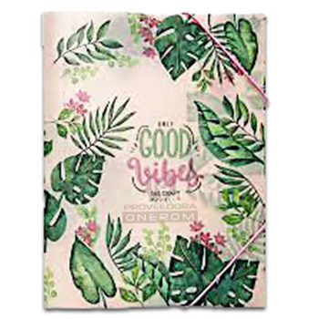 FOLDER PLASTICO C/ ELASTICO A4 DISEÑO E.K 4455