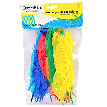 PLUMA PASSOLA V/COLORES X 24